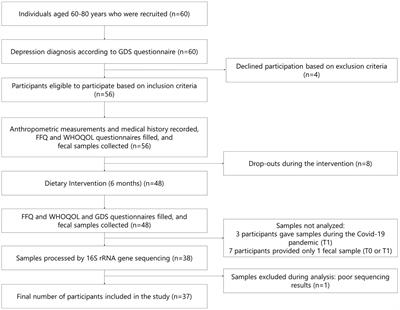 A personalized diet intervention improves depression symptoms and changes microbiota and metabolite profiles among community-dwelling older adults